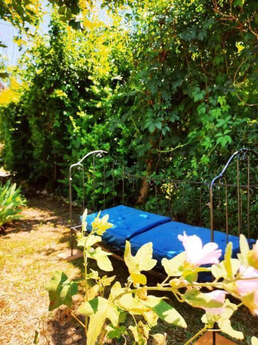Gite La Petite Longere Septfonds Bagian luar foto